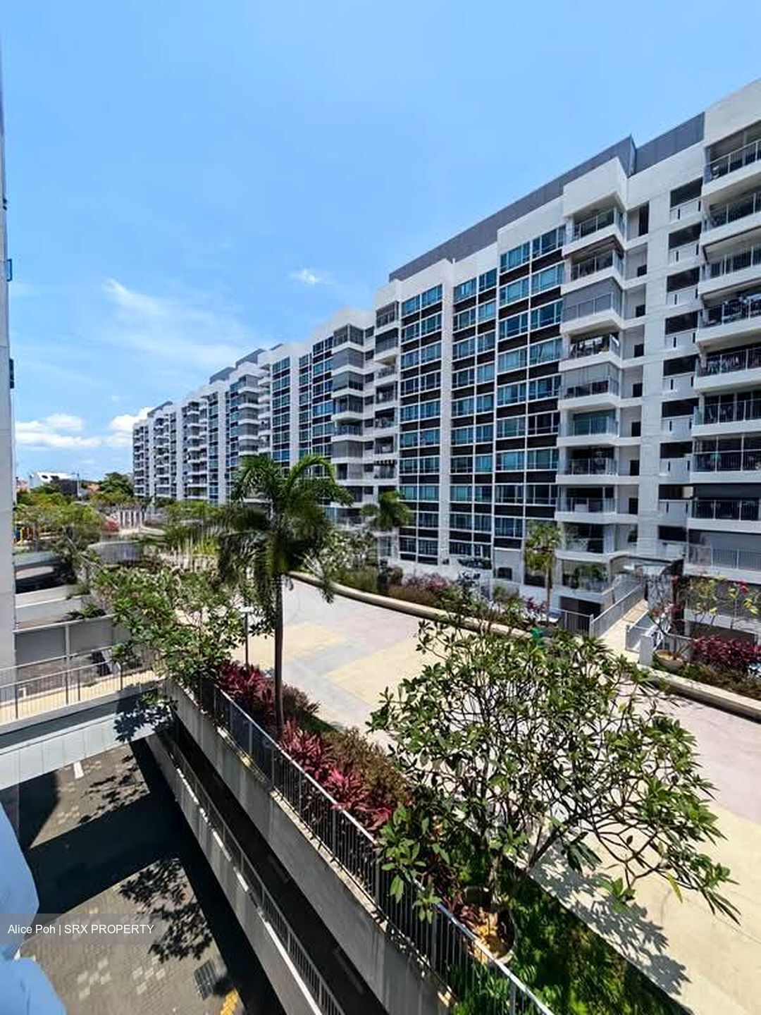 Blk 168D Parc Lumiere (Tampines), HDB 5 Rooms #547178921